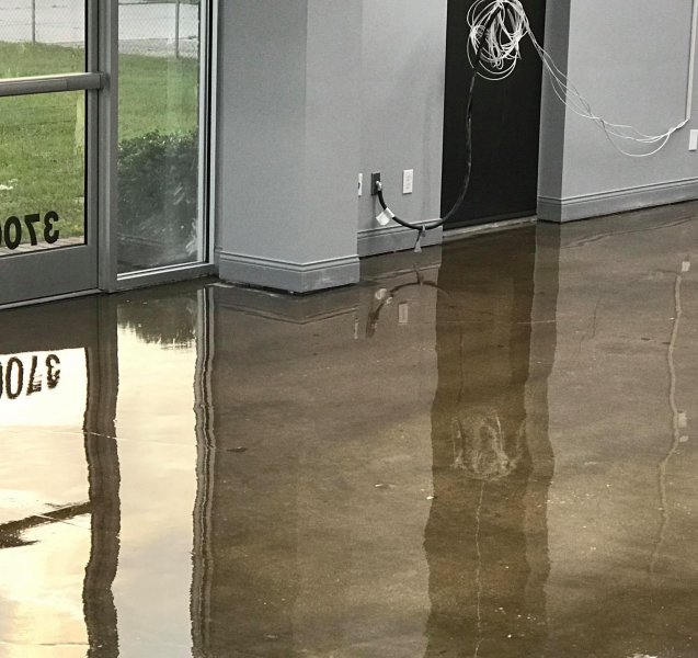 Polished Concrete Floor entry